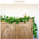 ffffffffffffffffffffffffffff81d5800b801980118000800088018000800000007700001b171e0020491d00161715