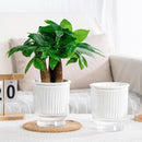 fffffffffffff87ff03fa03f800fd130c8e000800706bffeff7f7fffe7bfffff9c9c9cab475c5a1c07060b10abab132b