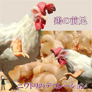 ffffff7ffcbffefffecafefffe3ffc743c24780c242f072703278044c0c0ec80d5171717312515f2171817171115161c