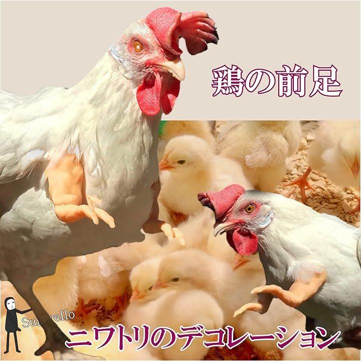 ffffff7ffcbffefffecafefffe3ffc743c24780c242f072703278044c0c0ec80d5171717312515f2171817171115161c