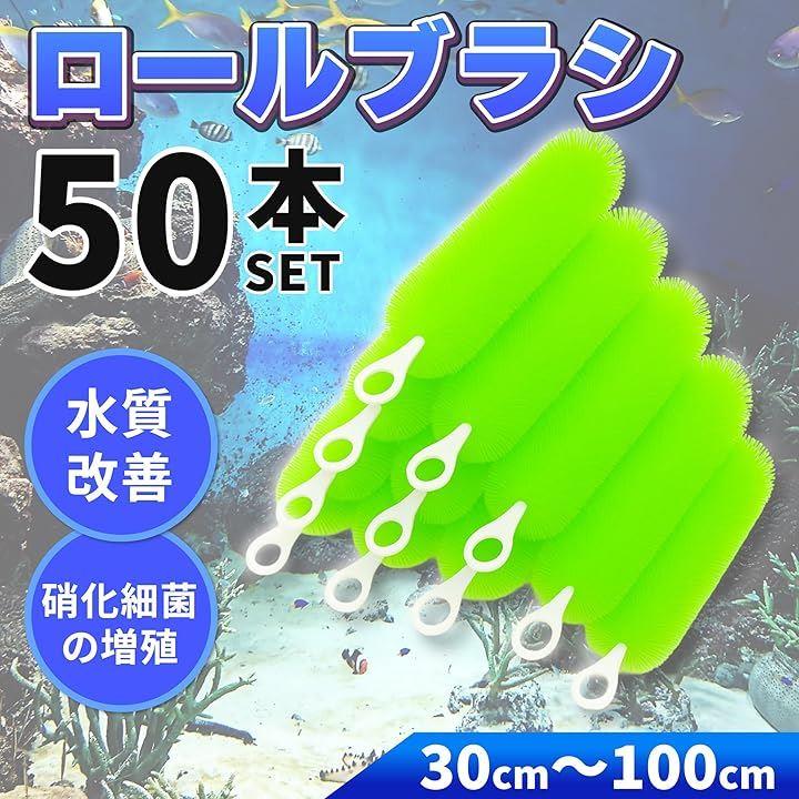 ff80993c19447de005c047849f0217821e0006401800048077c117d34fdb6f02938d929ab3008a3cab9a4341eba67540