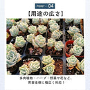 fffffe3ffdefffffd841d385c023db83e031e005d081c201c101e001fbefffff970000009717226c9f1f140e9f292411