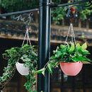 0088009c10b21cc00efc0efffe9f08ff0cbe0c6c084e7cfe5f1c841004000400