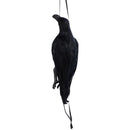 fffffffffeffff7fff3ffe3ffe3ffe3fff3ffe3ffe3fff7fff7fffffffbfffbf000000000000a4000000ab000000b300