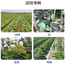 fffffe7fffffbf808584808680b080a1ffffffff8282d084889080e48088ffff