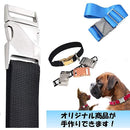 ffffffe1ffe1ffe3ffe7ff3ffcbf850f849f863386e187e0879007c806030603