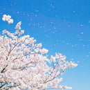 0000000000004000200010003c00f8005f00dd80fff8e7ff37fffedf7fffffff9194919390929295090392910b9c00c6