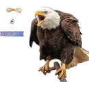 ffffffffffffef2fff53fe11fe01c201fe01ff01ff00ff10ffa3ffa7ffe7ffff0000000000000909000010140000001a