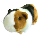 ffffffffffffffc3ff81f071f419fc09cc09cc19c419c01fe41ff03fff7fffff