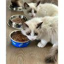 c72009df48ff80bf647f00ff91cf9dffe6a7c1e7a09f9039800140a3f6b8efe0181c1c151c1a17211c103d181c1c1c1a