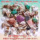 ffff5fbfe64f8143e0ca9828c201c045d809c079b3afbc47ea0fe77bfdffffff918080807244e477a40de4feaeb60fc1