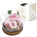 ffffffffffcdfffefffef3fff06ff0dfe07cd839c57fc53fc01fc03fc03ff0ff00000000000033330000f72200050e00