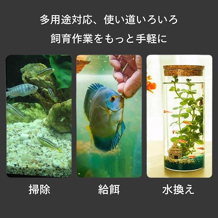 00000000000004500000239903bb43bf227f323f767d7f3f7c19001f1000000000000000002b1c47003d2f3100686b28