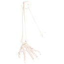 fc7ffc7ffc7ffc7ffcbffcbffcdffceffceffceffc7ffc3ff81ff80ffe9ffeff