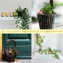 fffffff1fbf1f8e7e2c0fd83fcc3ffe3fff280bf81ff80ff80ff80c880fd80fc2b2b47002b4c80222b25291c243a8094