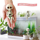 fffffbfffb07e1ffc9ffd9ffd58bd1f9f9f2b1ea00f2483090108000f010ffe800120000001f002beb1c9c84f2643c5f