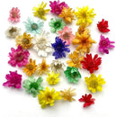 fffffffffe3fd807cf2ff329c70fe505e609c183f107ce1382f3f017fc07fcff0000000000d5472b00eeb00b004b2724