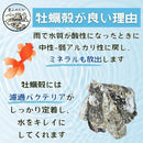 fffff000d7a4c000f4b2ce6be7ff9fff9fffffffffc9ff60f1c4ff80fac1f8f98e8b8e8a8f4a80468b8e8b8c89418b2f