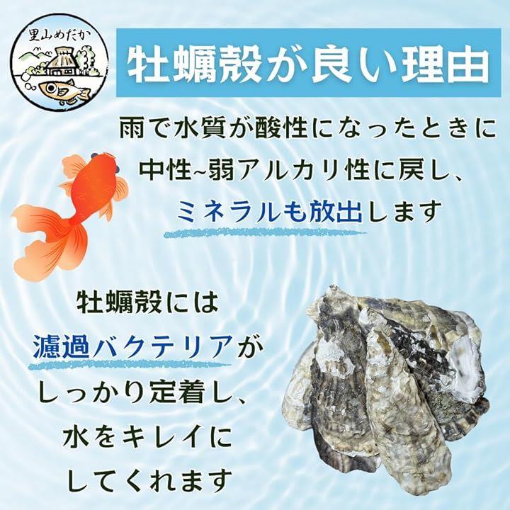 fffff000d7a4c000f4b2ce6be7ff9fff9fffffffffc9ff60f1c4ff80fac1f8f98e8b8e8a8f4a80468b8e8b8c89418b2f