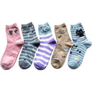 ffffffffffffffffc843c841c9c9c881c082ca81c0e1e2879293feffffffffff00000000002b8b8b00f6921000a49790