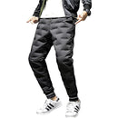 fd97fd97fb97f81ffc1ff81ff81ff93ff93ff91ff99ffc9ffcdffe5ffeffffff