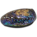 ffffffffffffffffff03f801e0018001800180018003c00fffffffffffffffff