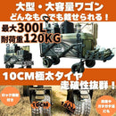 000019a20fc0ffbf8d0b89c3fc138ca28540bcc376a05e8040efe0c27a0f58171010101080108919004764711a1f1c30