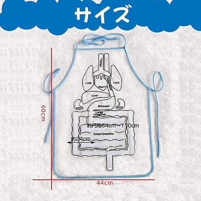 臓器 販売 エプロン