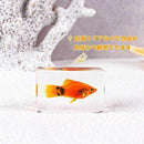 080041602d80430063308648fc00dc7efffff77ff01fffffffffffffffffffff13c8e6cf0fe41ffb000beb00eb0ef0f0