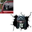 01ff01ff01ff01ff01ff01ff01ffff6ffe01fe03fe03fc03fc01ff03ffc7ffff