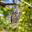 1e207ec8007b1f0dab1011f0c068c2fae5a85fb03d743ce003e505420b70b8801795bc34322e00241133153231321a30