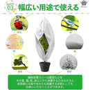 fffffffed713ffffe3e3e3a3ff7fd77fee71fe3fe637e767e363ffffc001c9d100000000002f0091003f3333002c0000