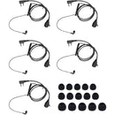 fffff3d7faeffdf7fefffffff5dffafffbfbfeffffdffffffa83fe87febbffb30000000000000000000000000000009b