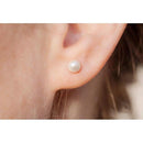 ffffffff037c033c027803d813f003a013c00200000100010000ffffffffffff000000000b10030c0f0d0c0e0f0f100f