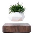 fffffffffffffffffe3ff81ffc1fffdfffffff9fff7ff007e003e003e003ffff00000000000041000000ab00000b090e