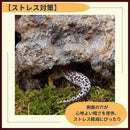 00006dff57ef5bbf5c1746e553ff7b4d4e01402140314011404d506340cd7fff0101010101100f07010f1710012b2f2a