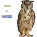 ffffffffff87ff87ff87ff87ff03c303ff03ff03fe03ff07ff07ff0fff8fffff00000000003c00190000191700001514