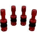 fffffffffffff9cf99cf9dcc9ddc988c988c888888888dd88ff98ff9ffffffff00000000000000000000000000000000