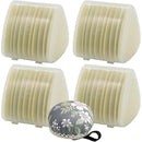 ffffffffc1c3c383838383838280d1d1ffffc1c3838b838382438043d001fc2f00000000002500240030002b00243c21