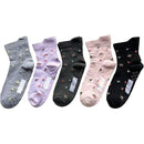 ffffffffffffefa68420ca18ca10d710cc20c819aef1da219233bffbffffffff0000000000c1ab06002b890400c289a2