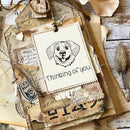 642244866c6c5cef67e76fe5ace0aff3daf2ef38dff1fbe8f1f9c958e850f42014151916161231191f1e2b1a1f22211a