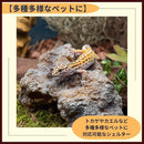 00004d7f62416001404160014d7b5ff17f715e5955f141854081407f70df7feb010101010193181701a2fa2601109513