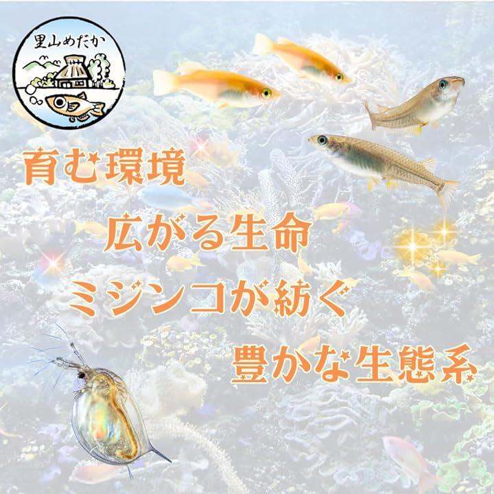 ffffbfff67dffe3ceff8b3637d70a6d1900e7ed0b120d630e686063c97001746ab8080809a878013001211a5978b2239