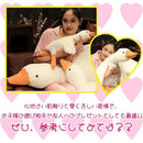 ffffffff801f801f8047838082c5807b8ffb8feb81f7ffffff6fdf5cd9f7ffff0000000000171239001f1c15002bee80