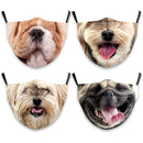 ffffffffffffc180c0b2c682c1c3e1d7fff7ffff8781e2c0e2c1c1c5e1e7ffff0000000000f2004e0000000000fc00de