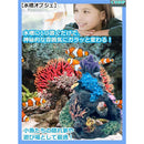 fffcffd3fff9ff70f7e0b448c8b0c6cc9f8c89169804b802e149e480f980ff839999999999877e7199fdf79a990cfd17