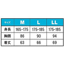 00000000040000000000ffff9519ffffffff9bff9bbbffffffff9bbbbbff0000