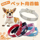 ffffc1e0bec0ffffc9ffcbe7f37fe5bef5e7e15fdc03fa01f401f002f001dfff1a1a1a1a1e2b20091a152b1f14e1ff90