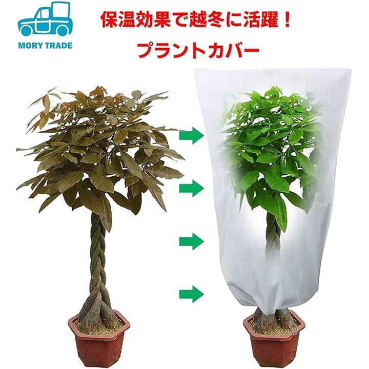 ffff914ffdfffffff7ffcbc3c143c1c381cbf3ebf7ebf7c3f7c3f7c7e3c7e7e700000000001caba200227a49001a0097