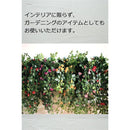 ffffffffdfffb6aab8ffffffffffed9c000400100000004000080aa05fdeffff72757575725e3c3c003362183c401b01